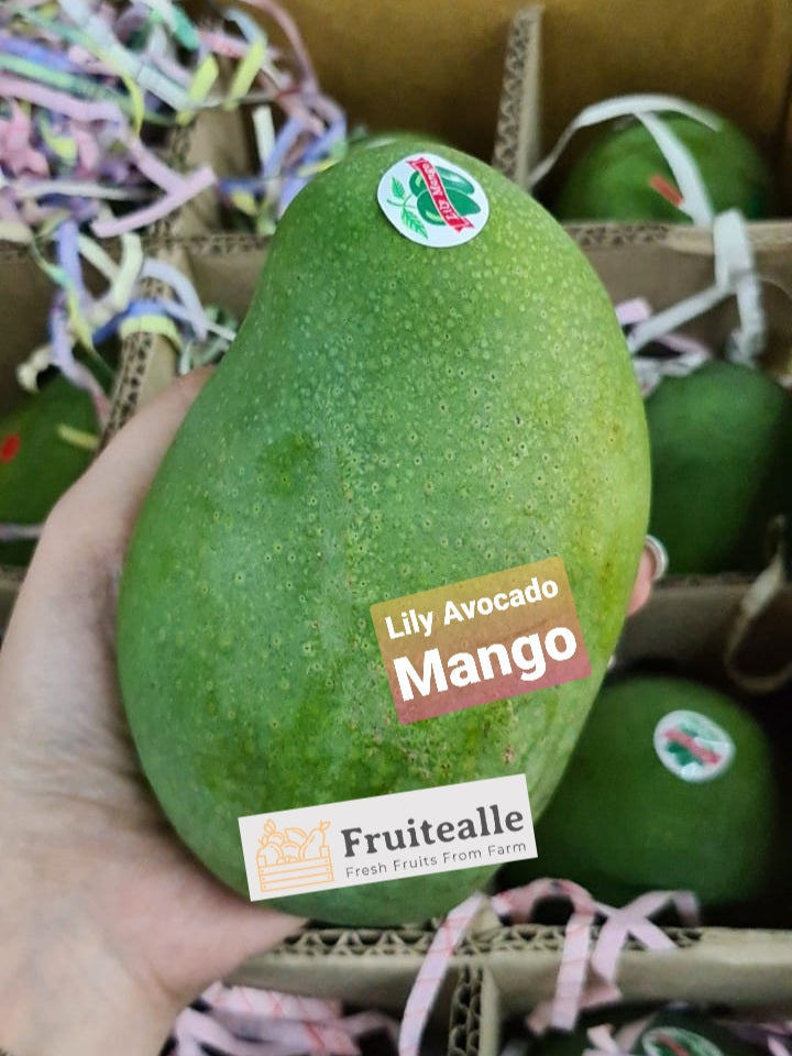 Mango - Lily Avocado Mango