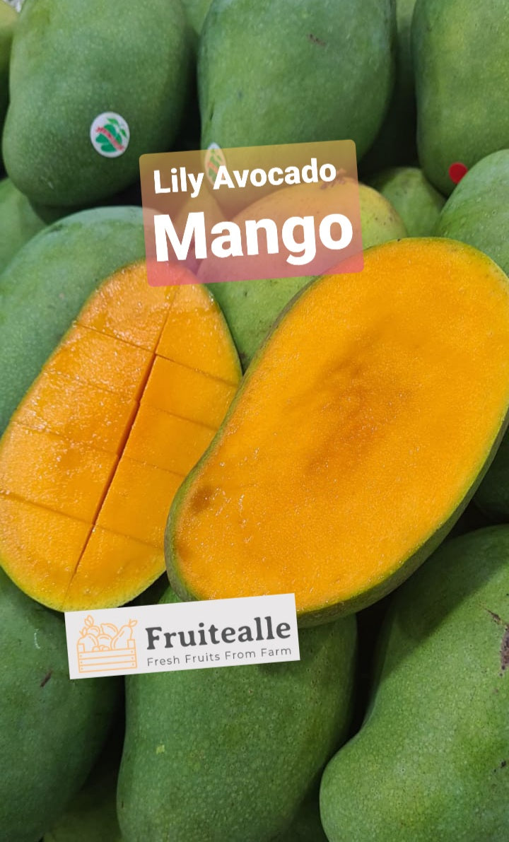 Mango - Lily Avocado Mango