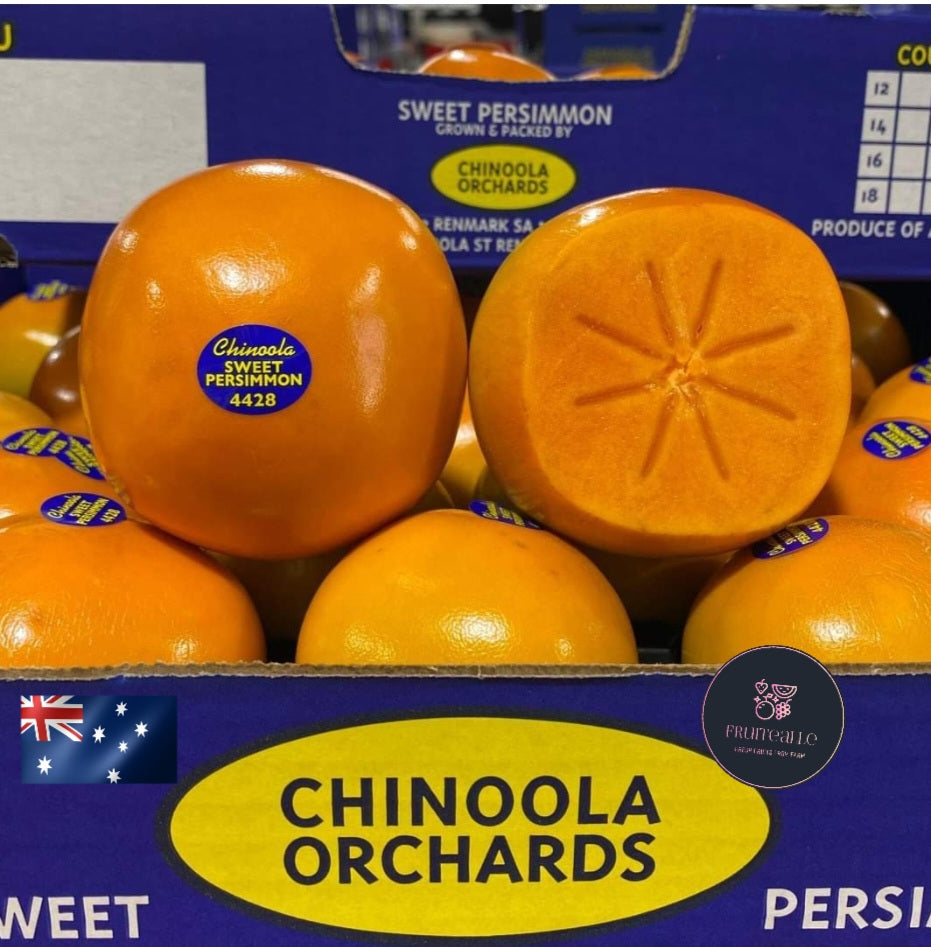 Persimmon - Australia Fresh Persimmon | Regular