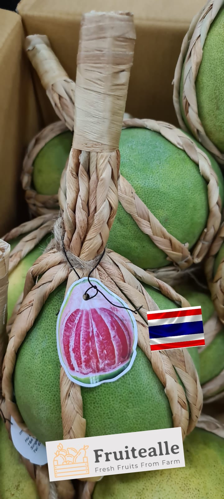 Pomelo - Siam Red Ruby Pomelo | Thailand