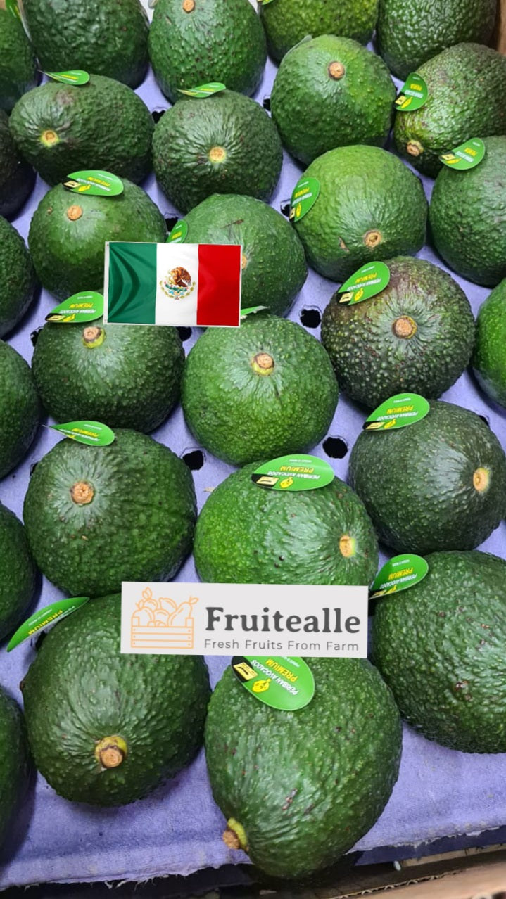 Avocado - Hass Variety | Regular Size | Mexico