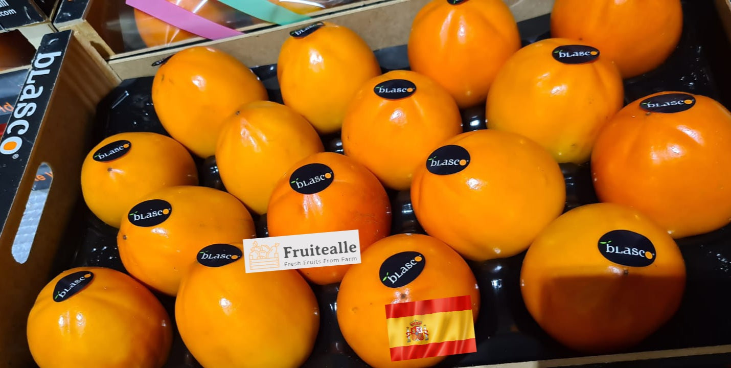 Persimmon - Spain Kaki Persimmon