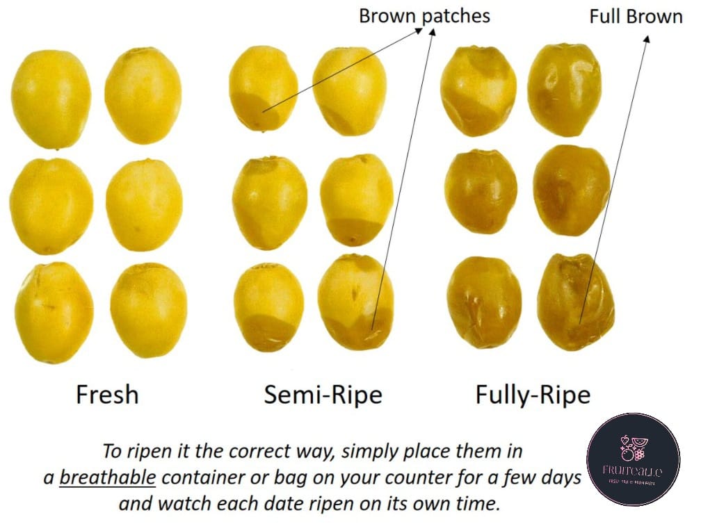 Dates - Yellow Barhi Fresh Date
