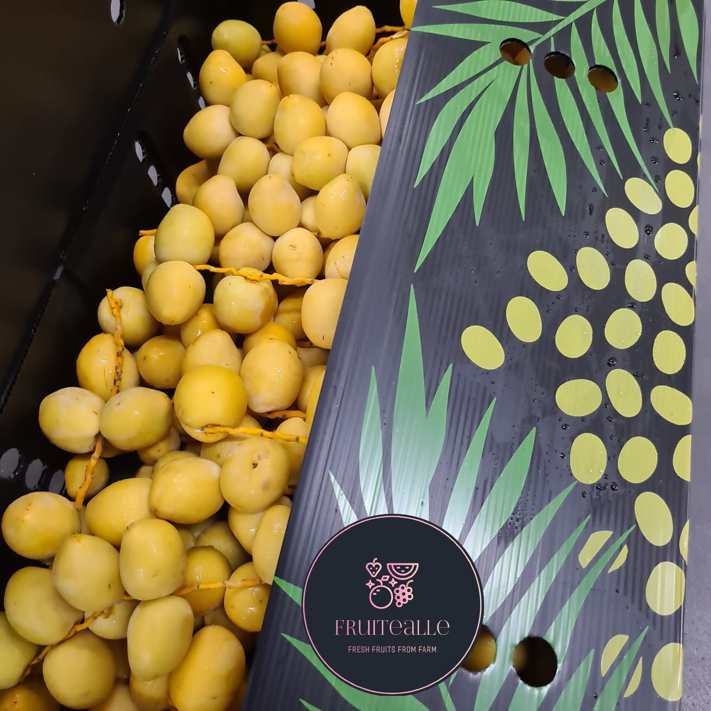 Dates - Yellow Barhi Fresh Date