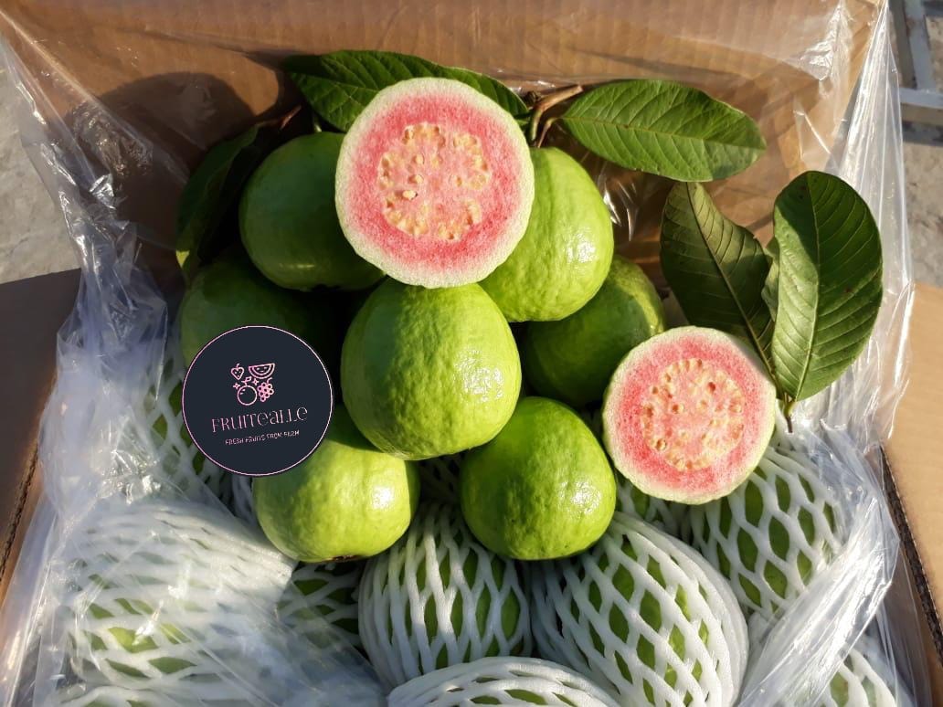 Guava - Pink Guava 红心芭乐 👍