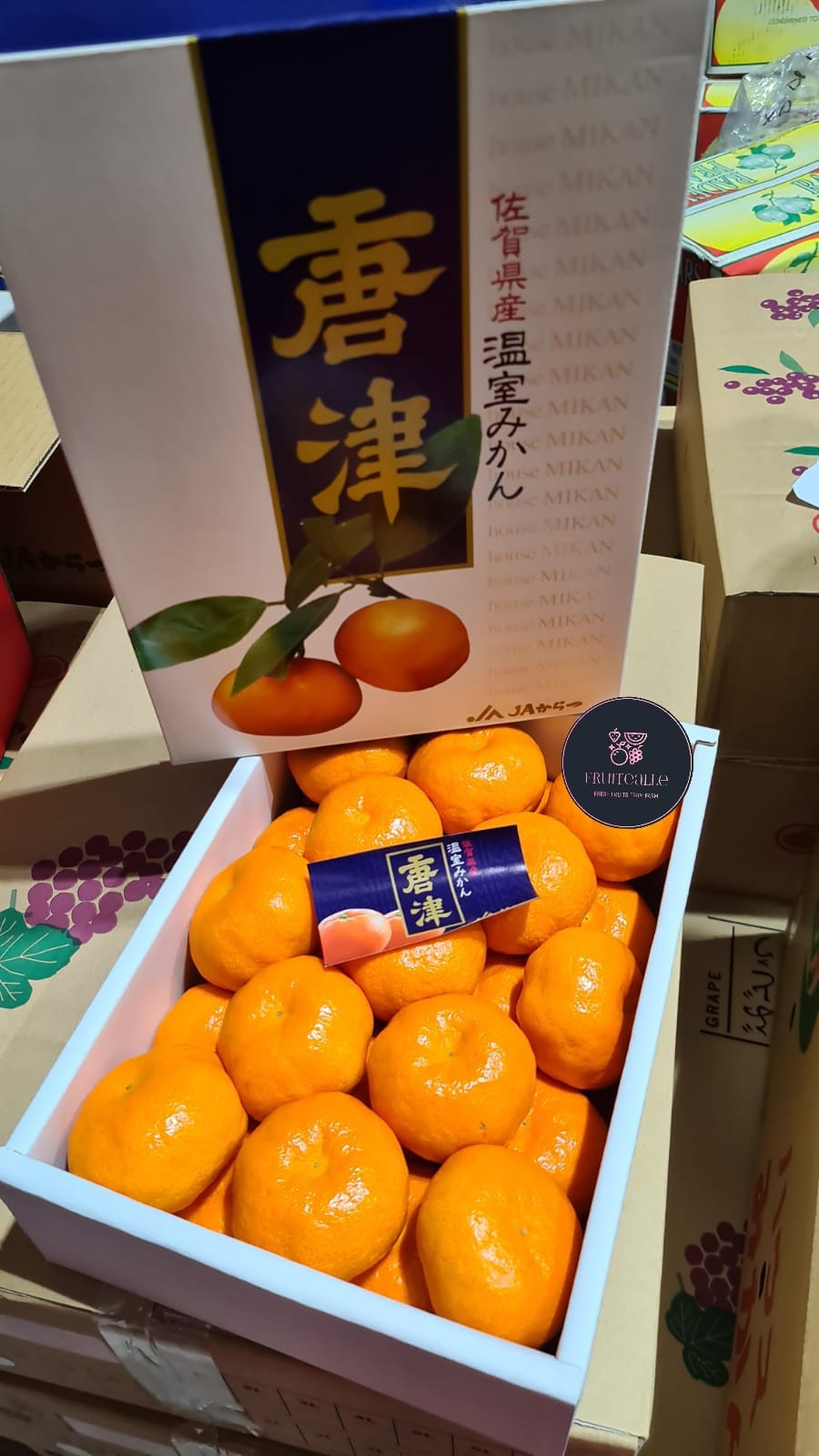 Japan Mikan 蜜柑 - Saga Karatsu Onshitsu Mandarin Mikan Gift Box 唐津音津みかん