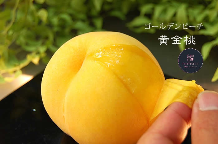 Japan Peach - Yamanashi Golden Peach【甲斐黄桃】