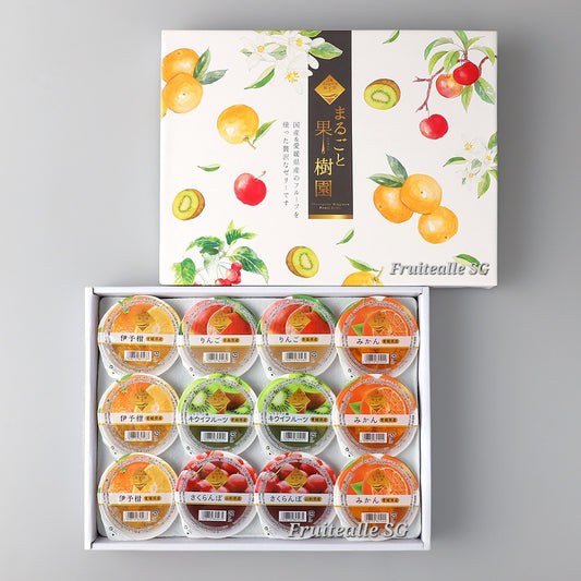 Japan Jelly - [Marugoto Kajyuen] Fruit Jelly GiftBox