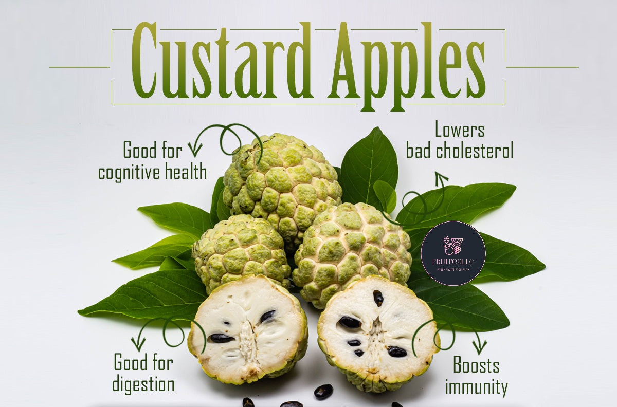 Custard Apple - Australia | Regular Size