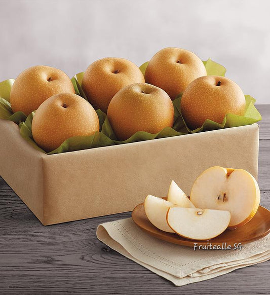 Pear - Nam Shui Pear 南水梨 | Regular Size