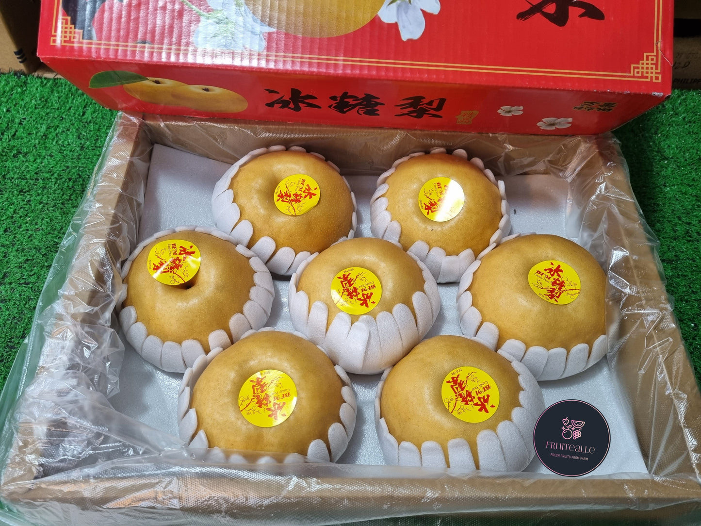 Pear - Bing Tang Honey Pear 冰糖梨 | Size M (Korea Variety)