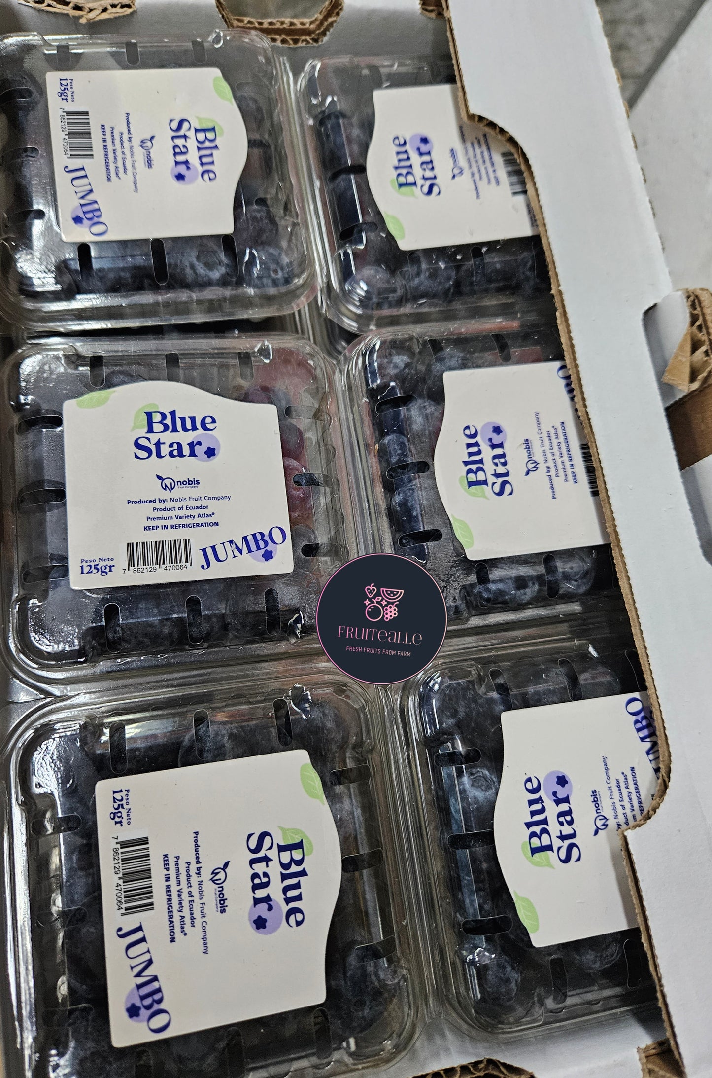 Blueberry - JUMBO Size [BlueStar] Sweet Blueberries