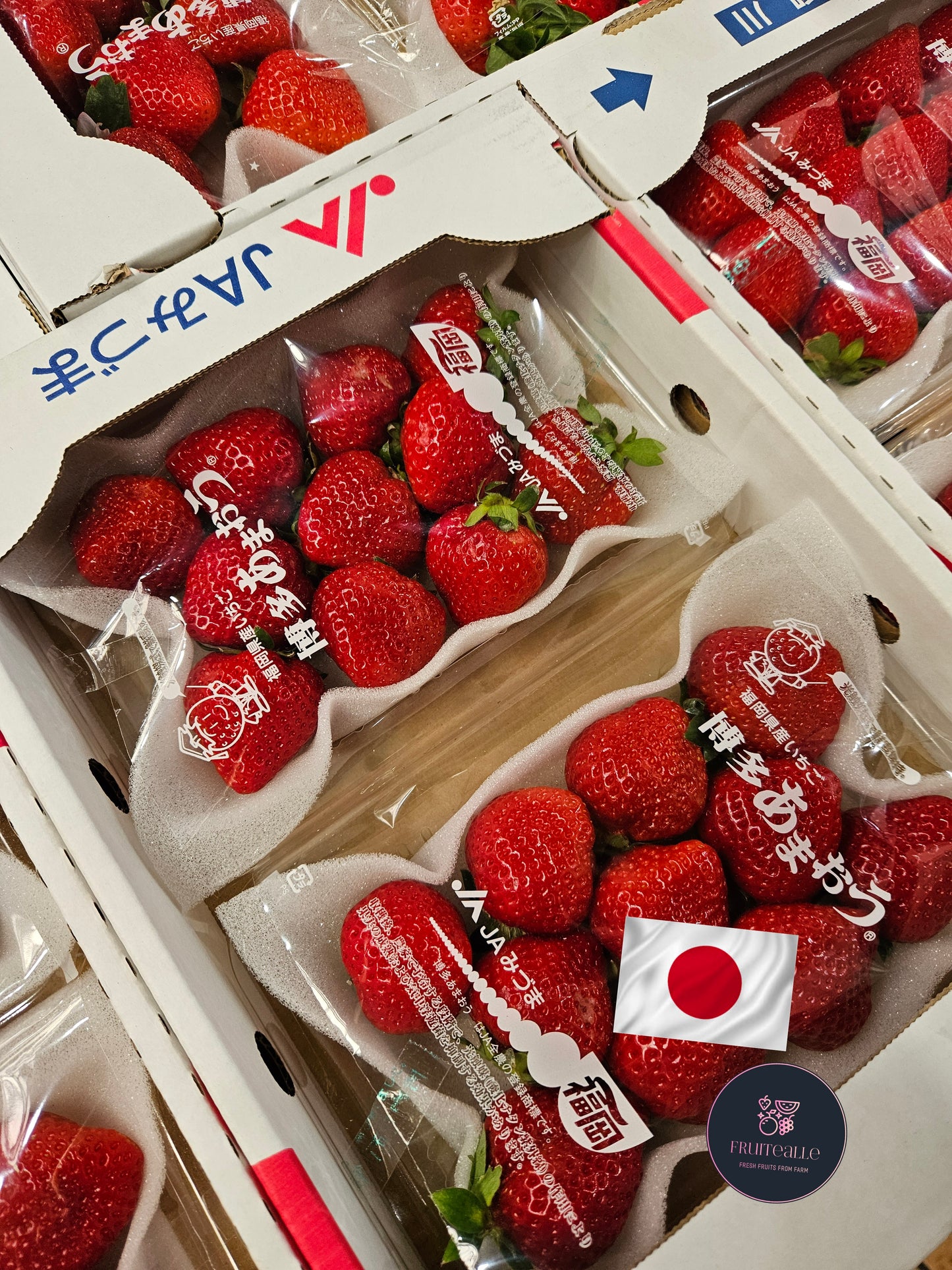 Japan Strawberry - Red Strawberries | Amaou 福岡 | あまおう