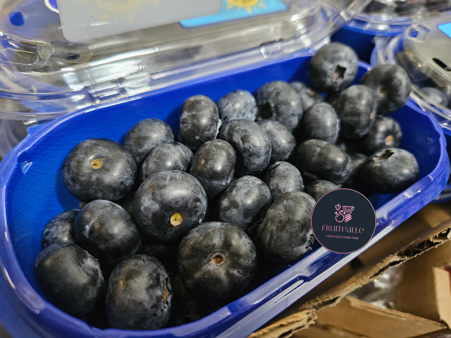 Blueberry - Fresh Coastal Blueberries (Jumbo Size) | 200gm [Super Sweet]