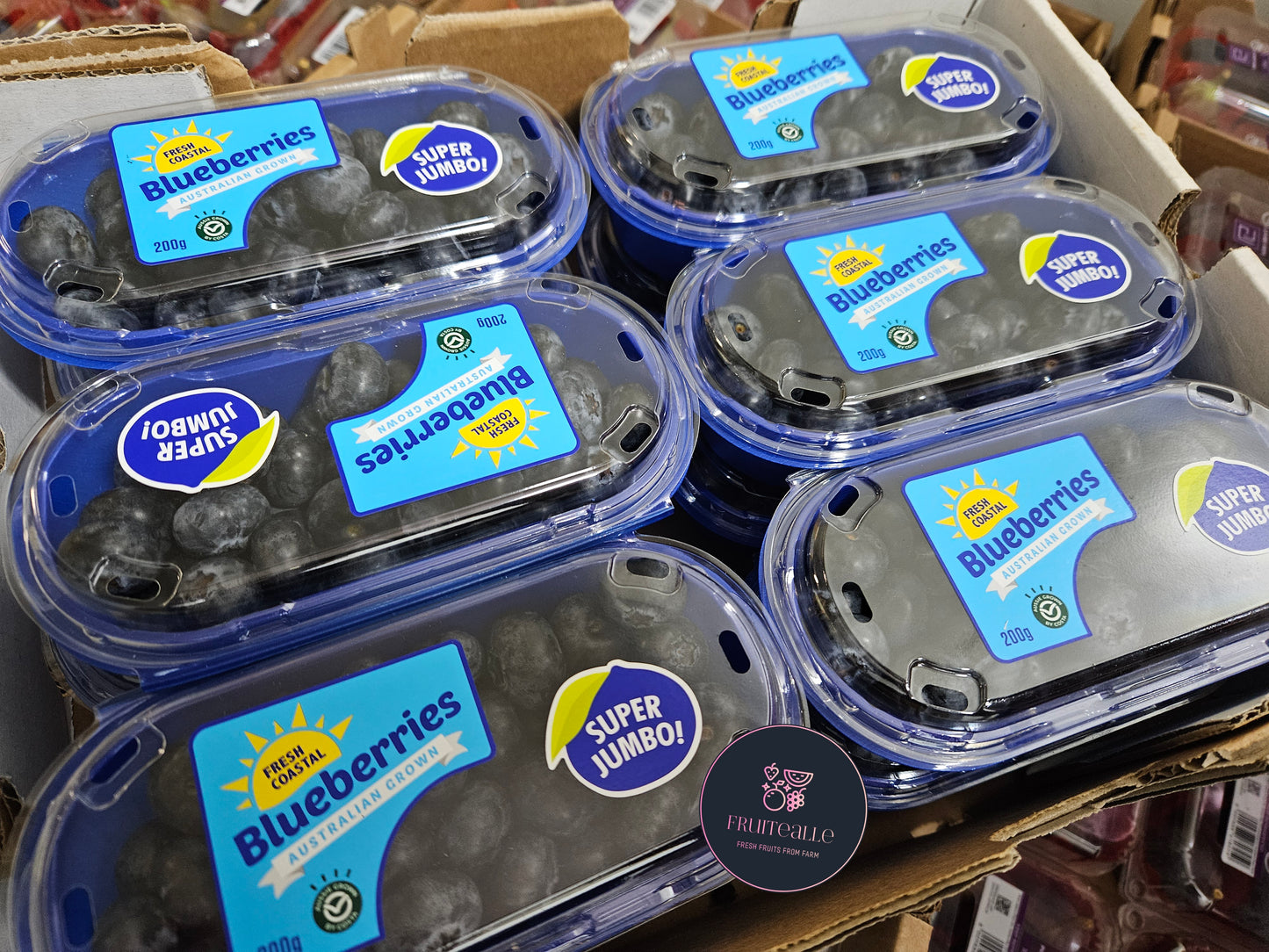 Blueberry - Fresh Coastal Blueberries (Jumbo Size) | 200gm [Super Sweet]
