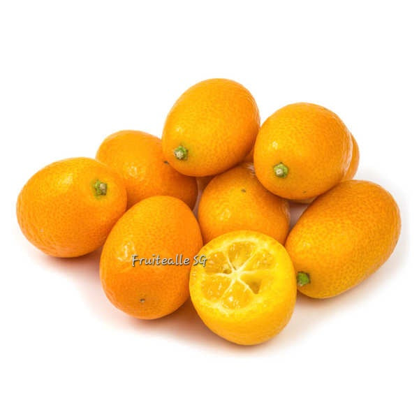 Orange - Kumquat Orange 金桔