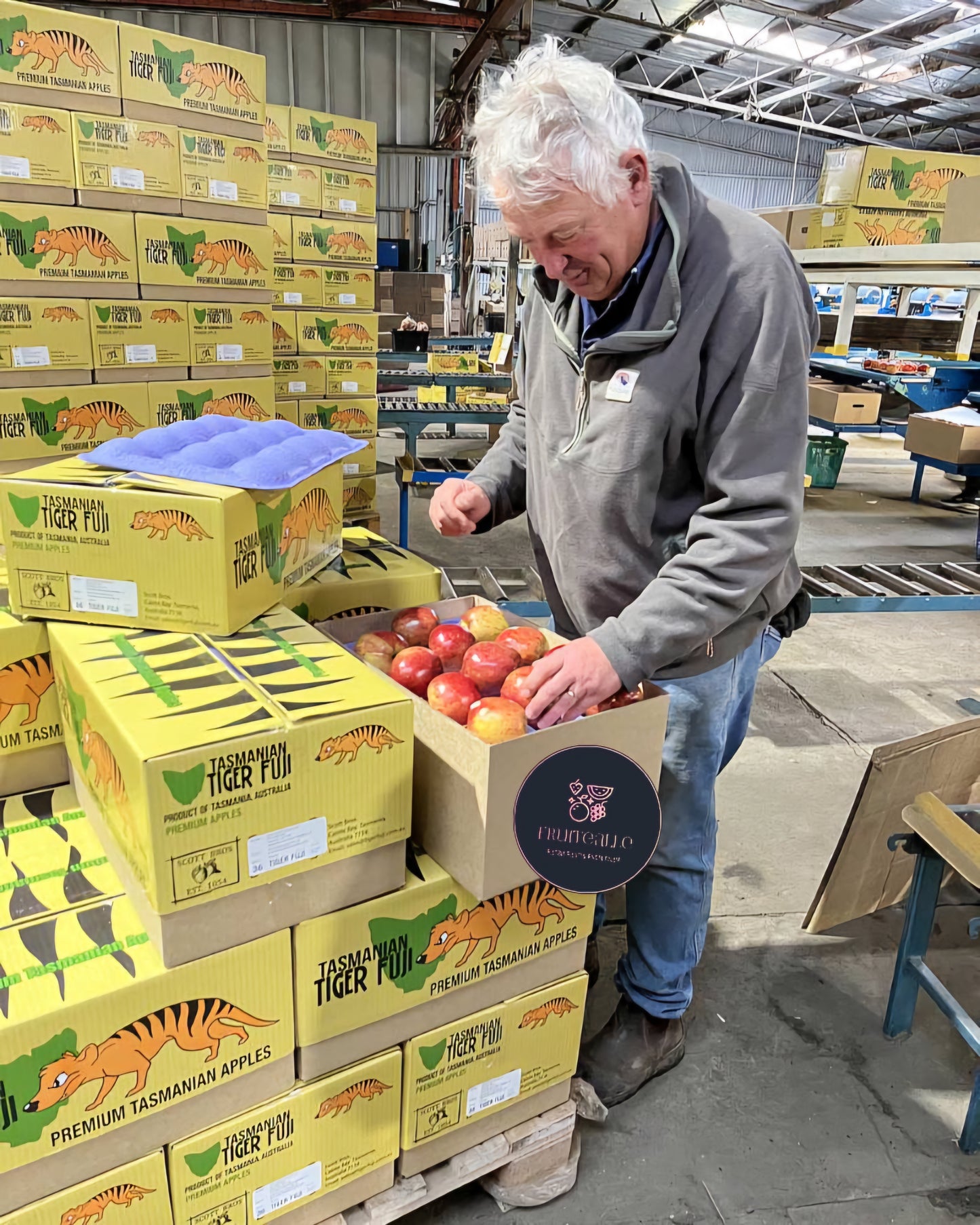 Apple - Tasmanian Tiger Fuji Apples