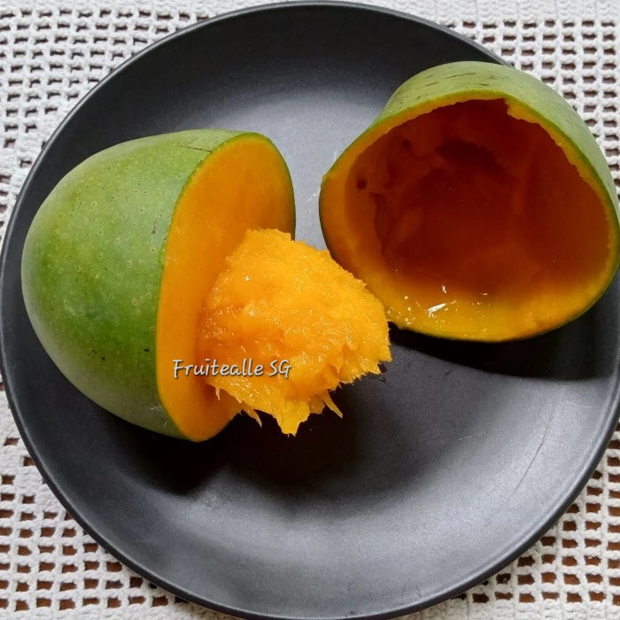 Mango - Lily Avocado Mango