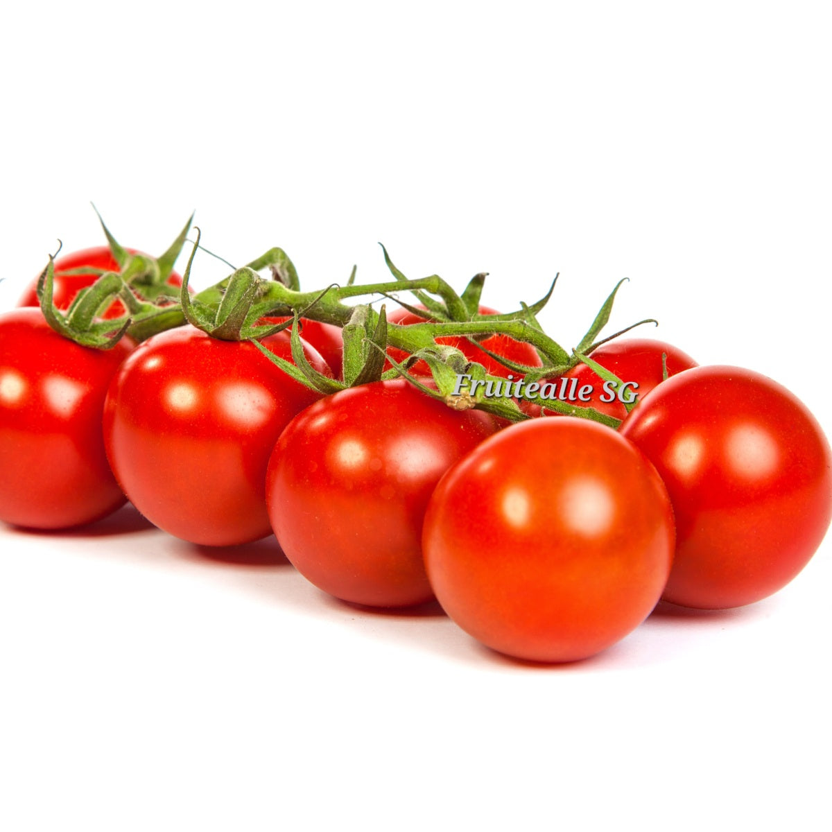 Tomato - Cherry Tomato on Vine | From Holland