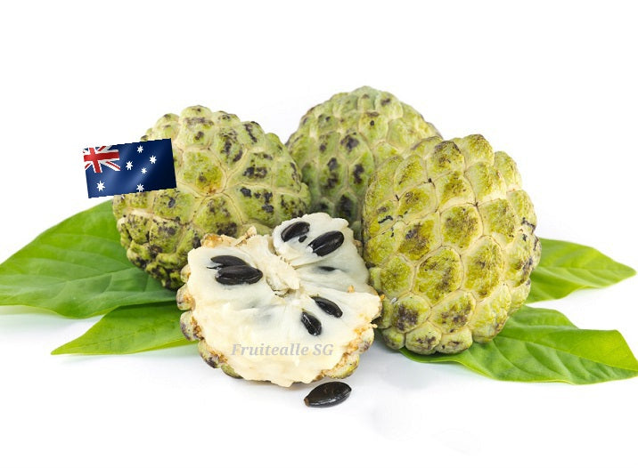 Custard Apple - Australia | Regular Size