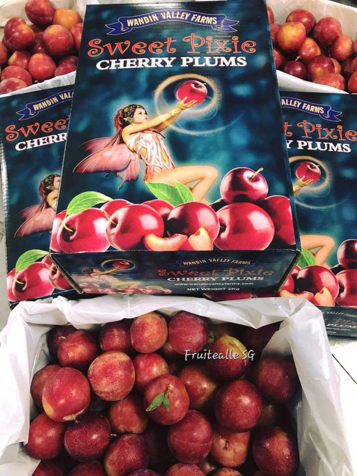 Plum - Sweet Pixie® Cherry Plums [2Kg GiftBox] from Australia | Wandin Valley