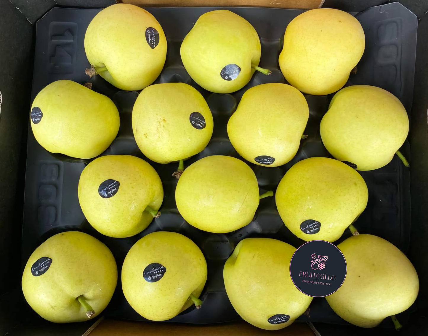 Pear - Australia Indiana Pearl Green Nashi Pear