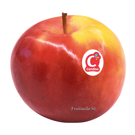 Apple - Candine® Apple from France