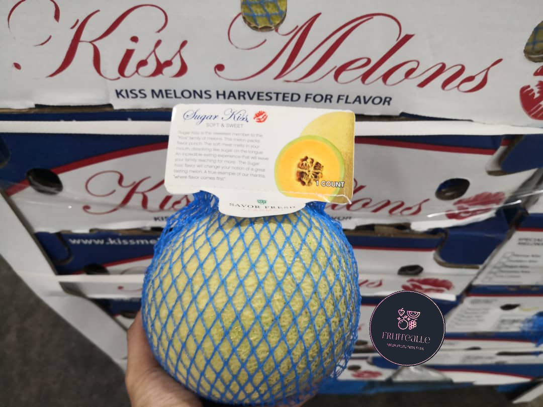Melon - USA Sugar Kiss Melon