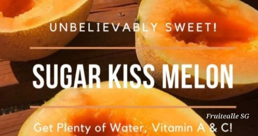 Melon - USA Sugar Kiss Melon