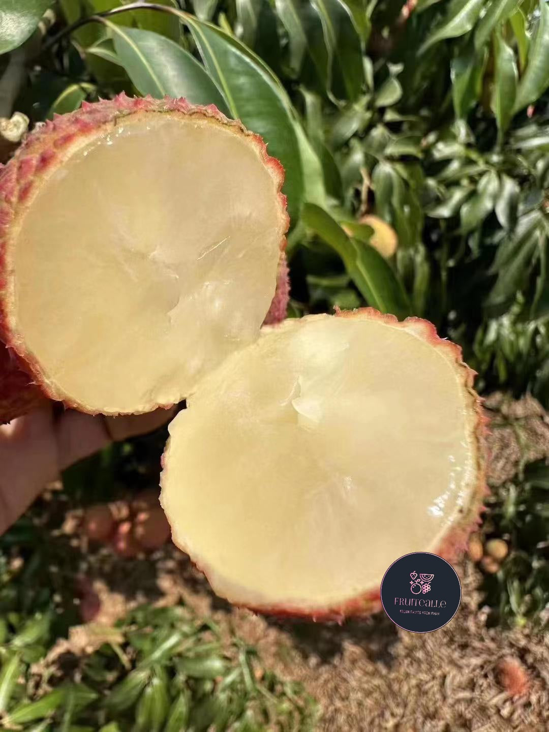 Lychee - Seedless Lychees [Air-Flown]