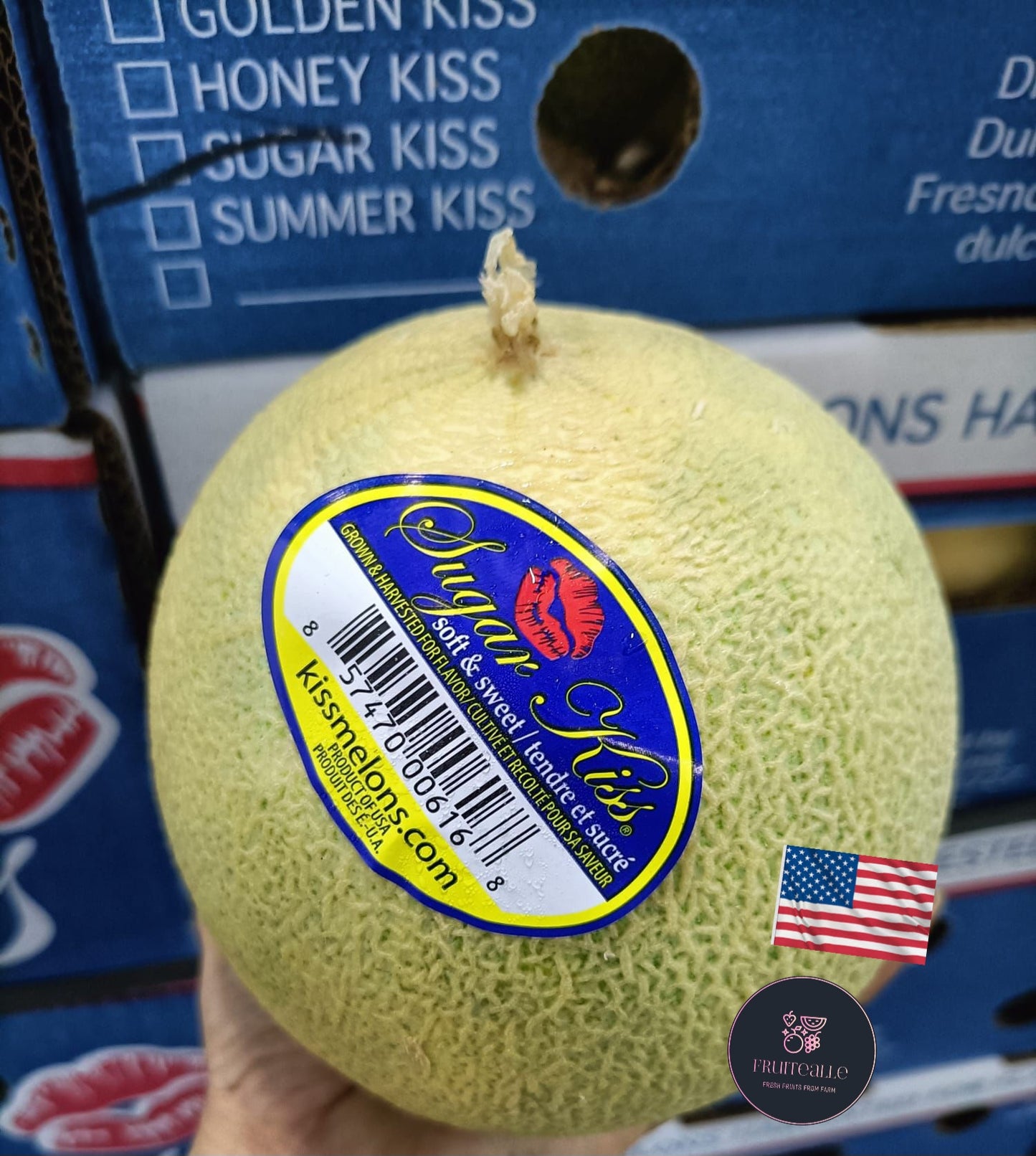 Melon - USA Sugar Kiss Melon