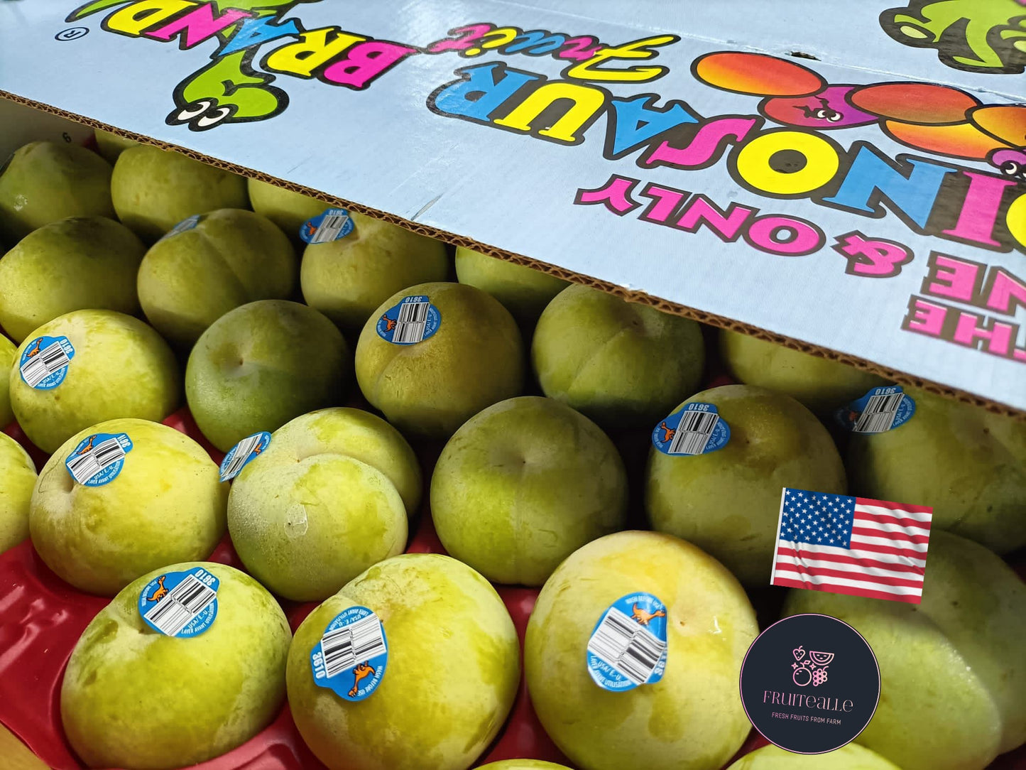 Plums - USA Flavour Queen Plum | Dino Orchards