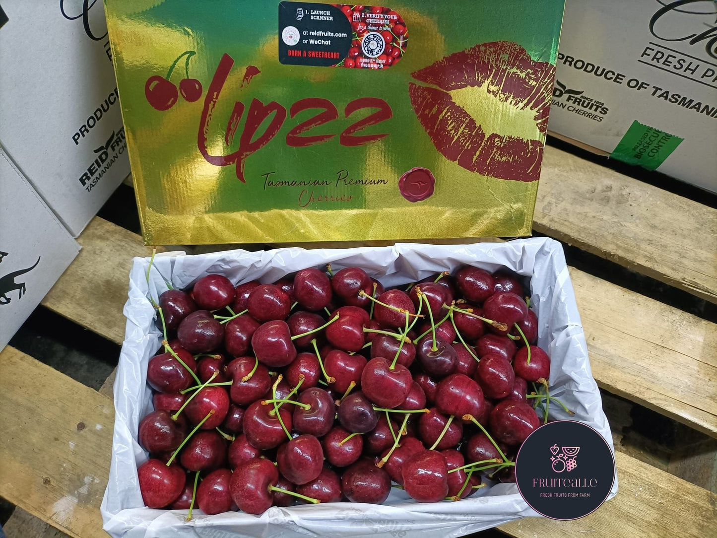 Cherry Tasmania Red Cherries | Lip22【32mm - 34mm】Large Size **2kg GiftBox Available