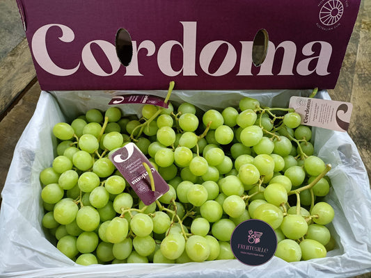 Grapes - Australia Green Seedless [AutumnCrisp®] | Cordoma Orchard