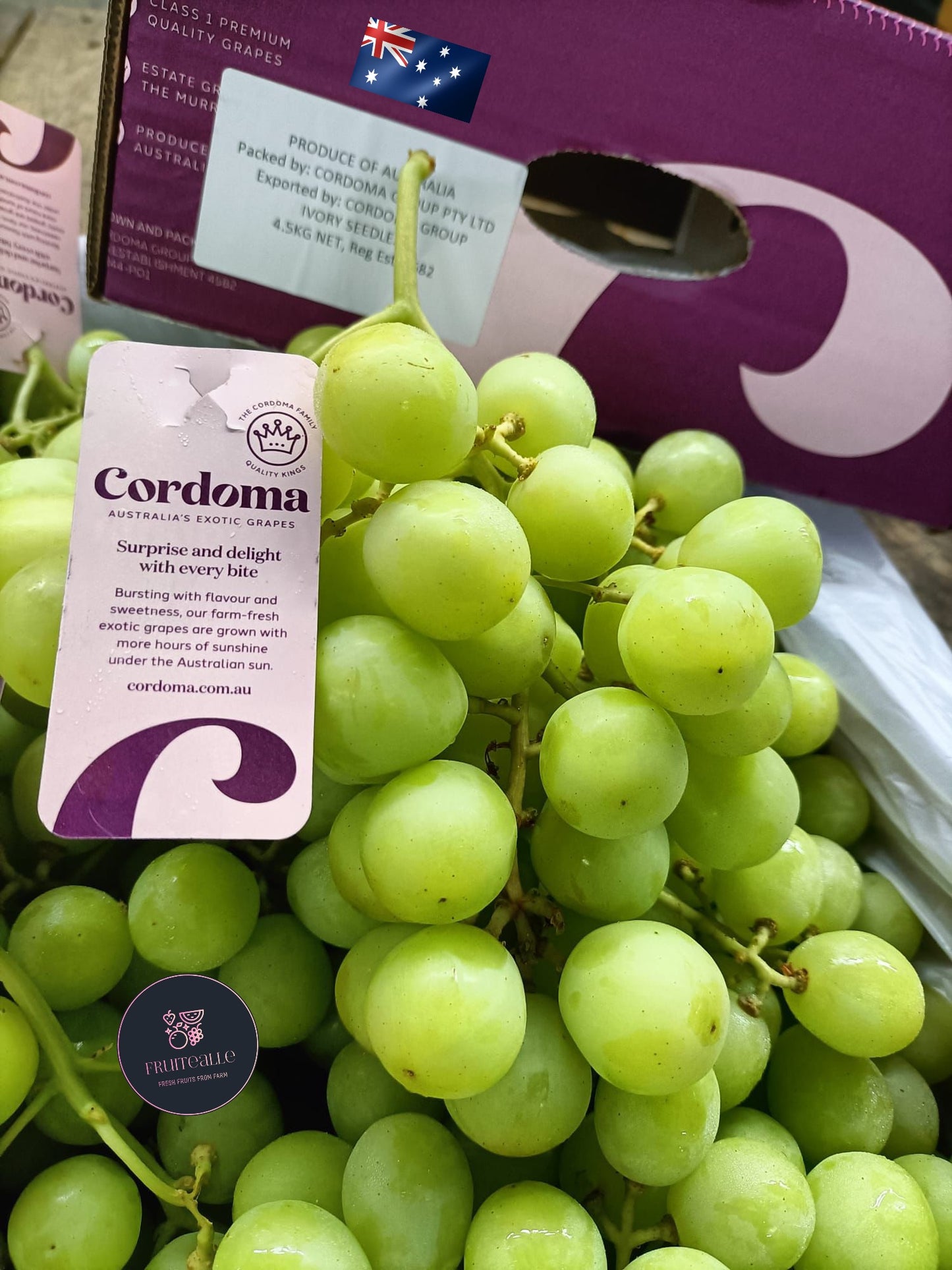 Grapes - Australia Green Seedless [AutumnCrisp®] | Cordoma Orchard