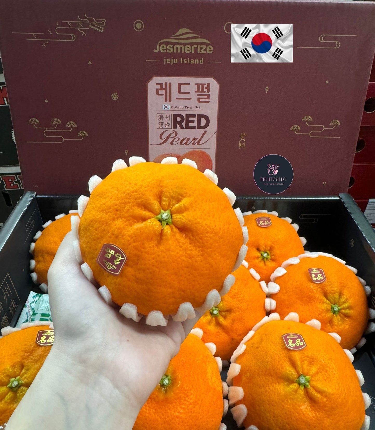 (2024 CNY ㊗️) Orange Korea - Jeju, Korea Red Hyang 레드향 [3Kg GiftBox]