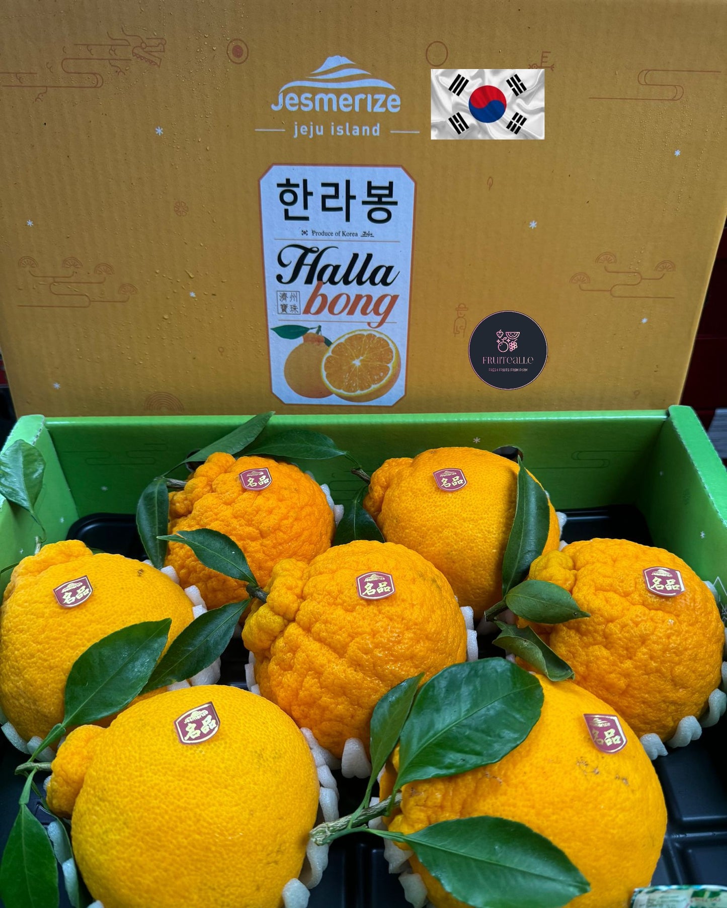 (2025 CNY ㊗️) Orange Korea - Jeju, Korea Hallabong 한라봉 [3kg GiftBox]