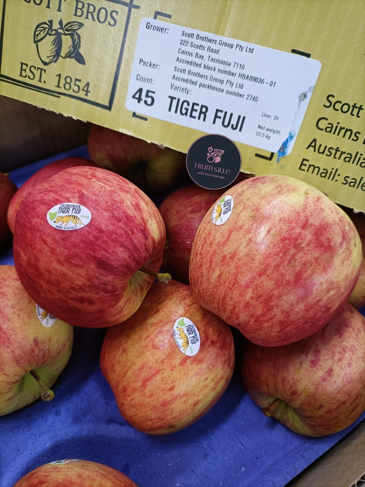 Apple - Tasmanian Tiger Fuji Apples