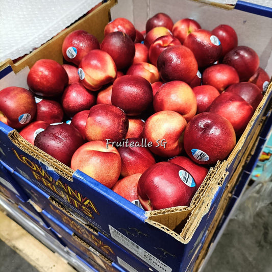 Nectarine - Golden Sweet Nectarine | Lowana Famous Orchard | Australia