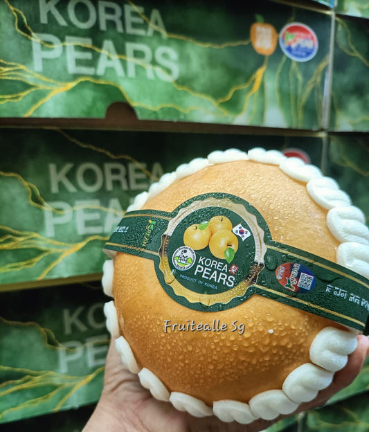 Pear - Korea Shingo Pear 신고 배 (Authentic)