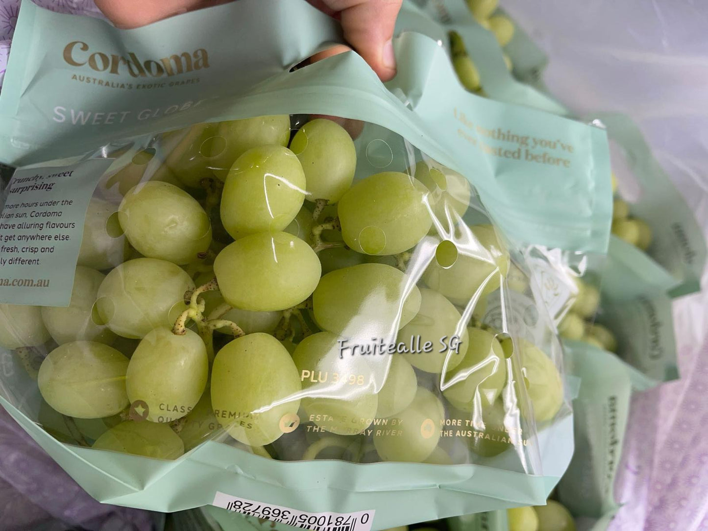 Grapes - Green Seedless [Sweet Globe®] | by CORDOMA Orchard