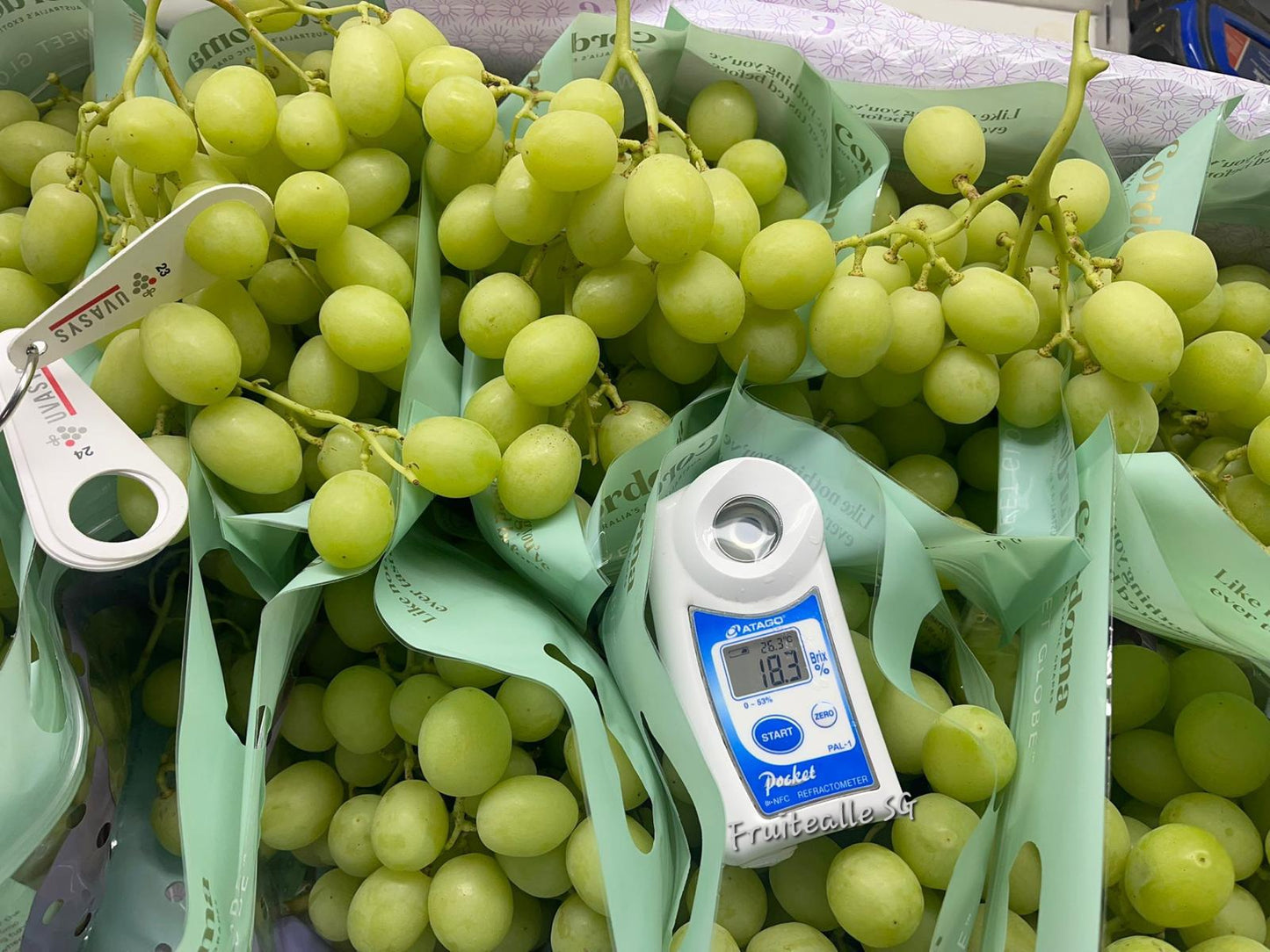 Grapes - Green Seedless [Sweet Globe®] | by CORDOMA Orchard