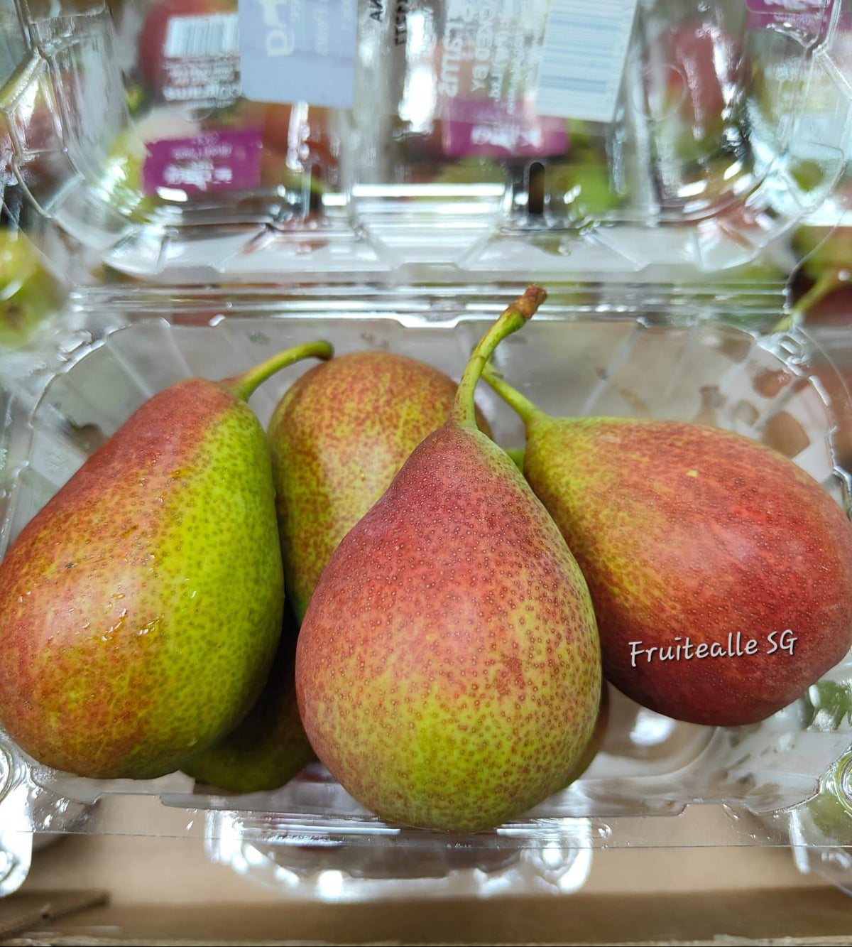 Pear - SA Forelle Blush Pear | 800gm