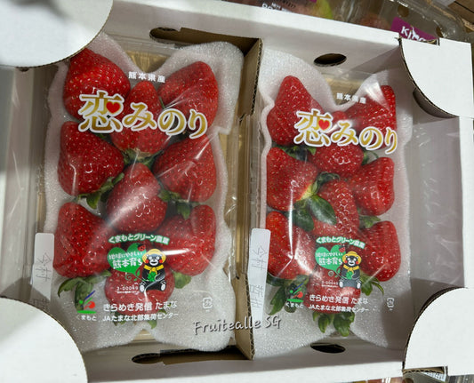 Japan Strawberry - Red Strawberries| Koiminori熊本 | 恋みのり