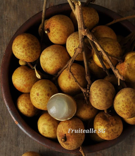 Longan - Sweet Longan From Thailand