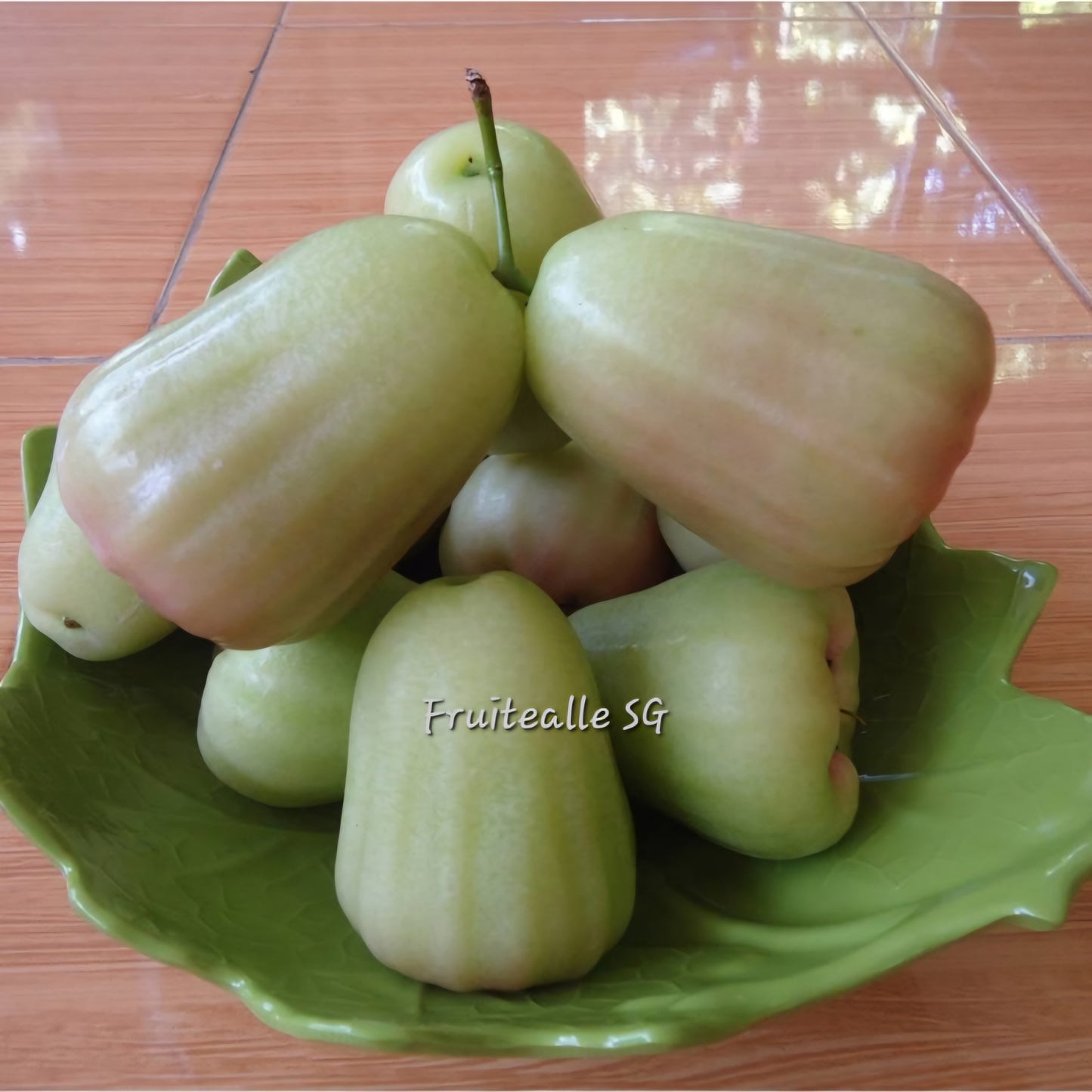 Jambu - Indonesia Honey Jambu