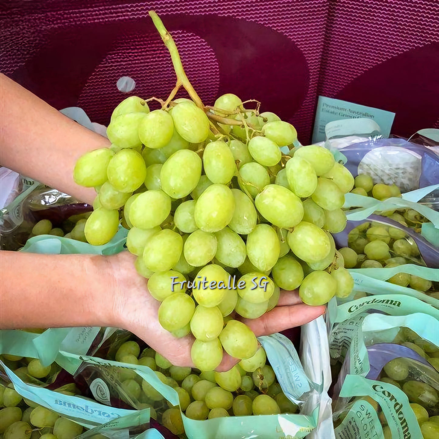 Grapes - Green Seedless [Sweet Globe®] | by CORDOMA Orchard