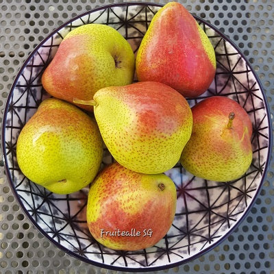 Pear - Forelle Blush Pear | South Africa