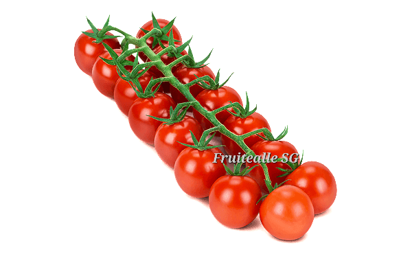 Tomato - Cherry Tomato on Vine | From Holland