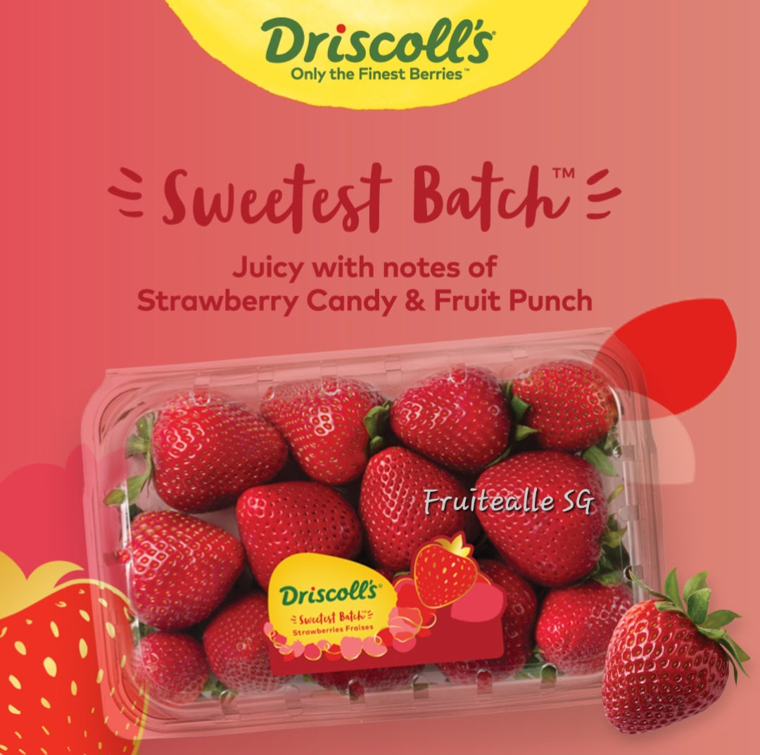 Strawberry - Driscoll's Strawberries | 330gm